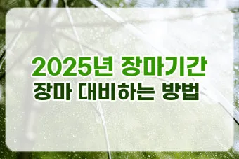 장마 시작 강수량 비 예보 배수구 점검 누수 예방 팁_5