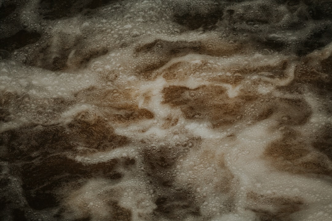 Fermentation