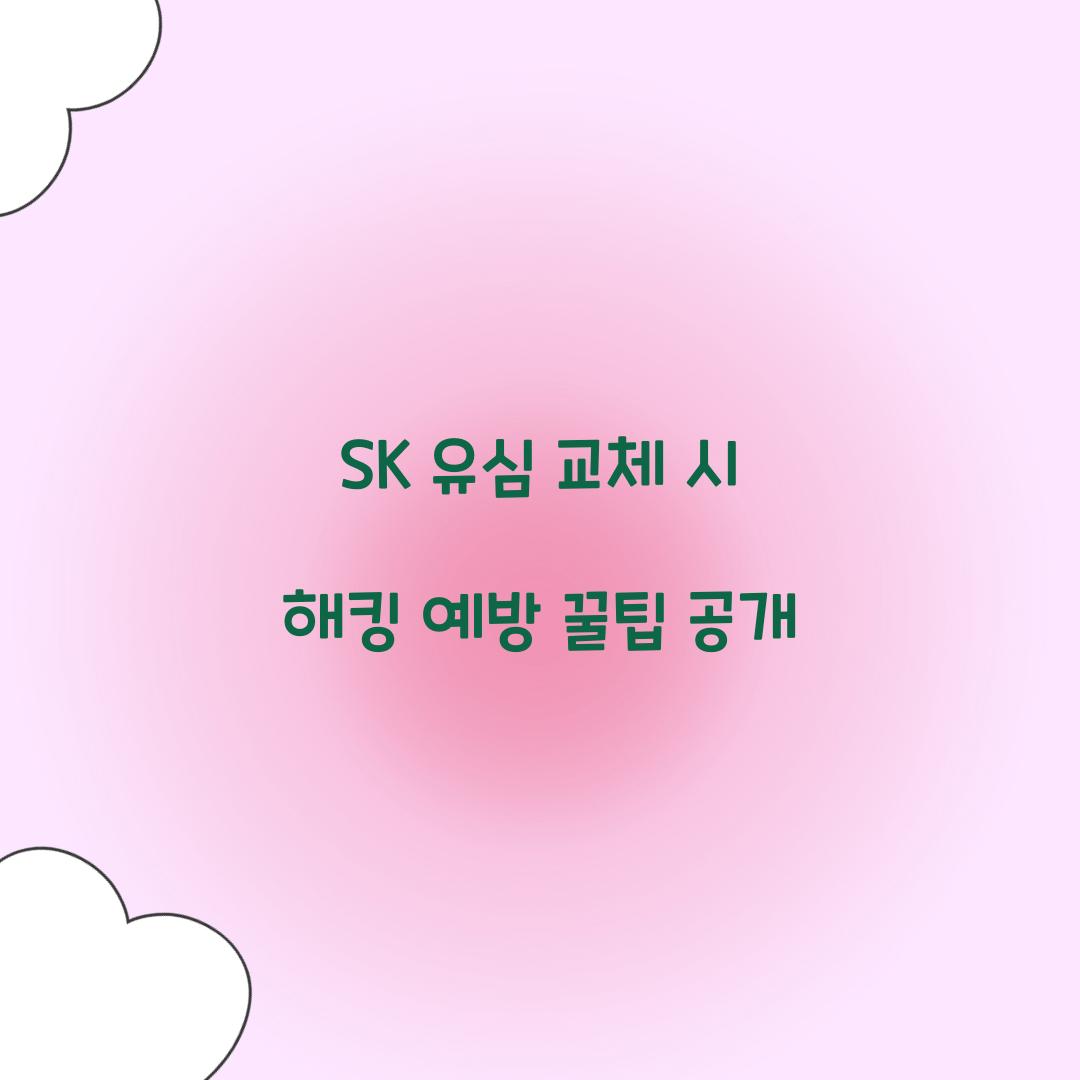 SK 유심 교체