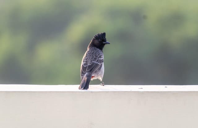 돈 벌고 싶다면 무조건 알아야 할 2025년 제테크 트렌드!