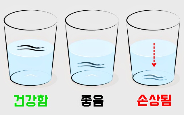 염색 파마 열펌 고데기 머리 손상 확인하는 방법, 뷰티 생활 건강 팁줌 매일꿀정보