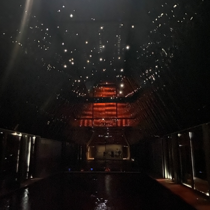 어두운 공간 천장에 작은 빛이 가득합니다.