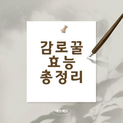 감로꿀의-정의와-효능-생산과정-구매팁