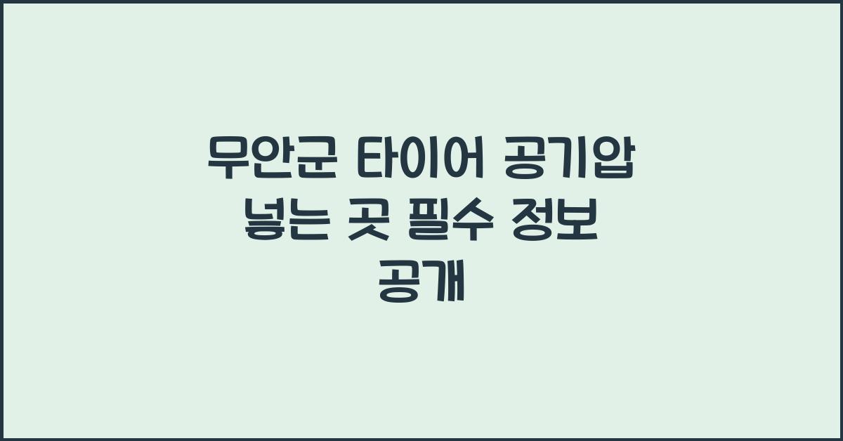 무안군 타이어 공기압 넣는 곳 