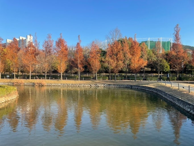 부산 단풍 명소 TOP5 ❘ 가을 산책, 데이트, 가족여행 코스 완벽 정리 관련 사진