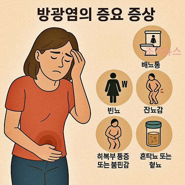 방광염의 주요 증상