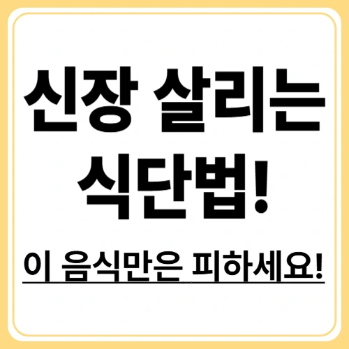 만성신장질환 식이요법! 식단부터 실천 방법까지