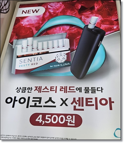 아이코스 일루마 전용 스틱 '센티아 제스티 레드' 출시 분석: 가성비와 맛을 다 잡다