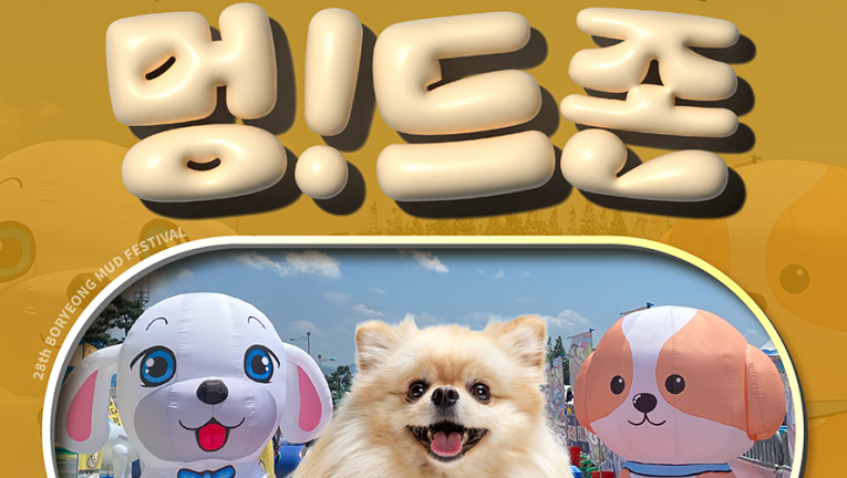 2025 보령머드축제 관련 이미지5