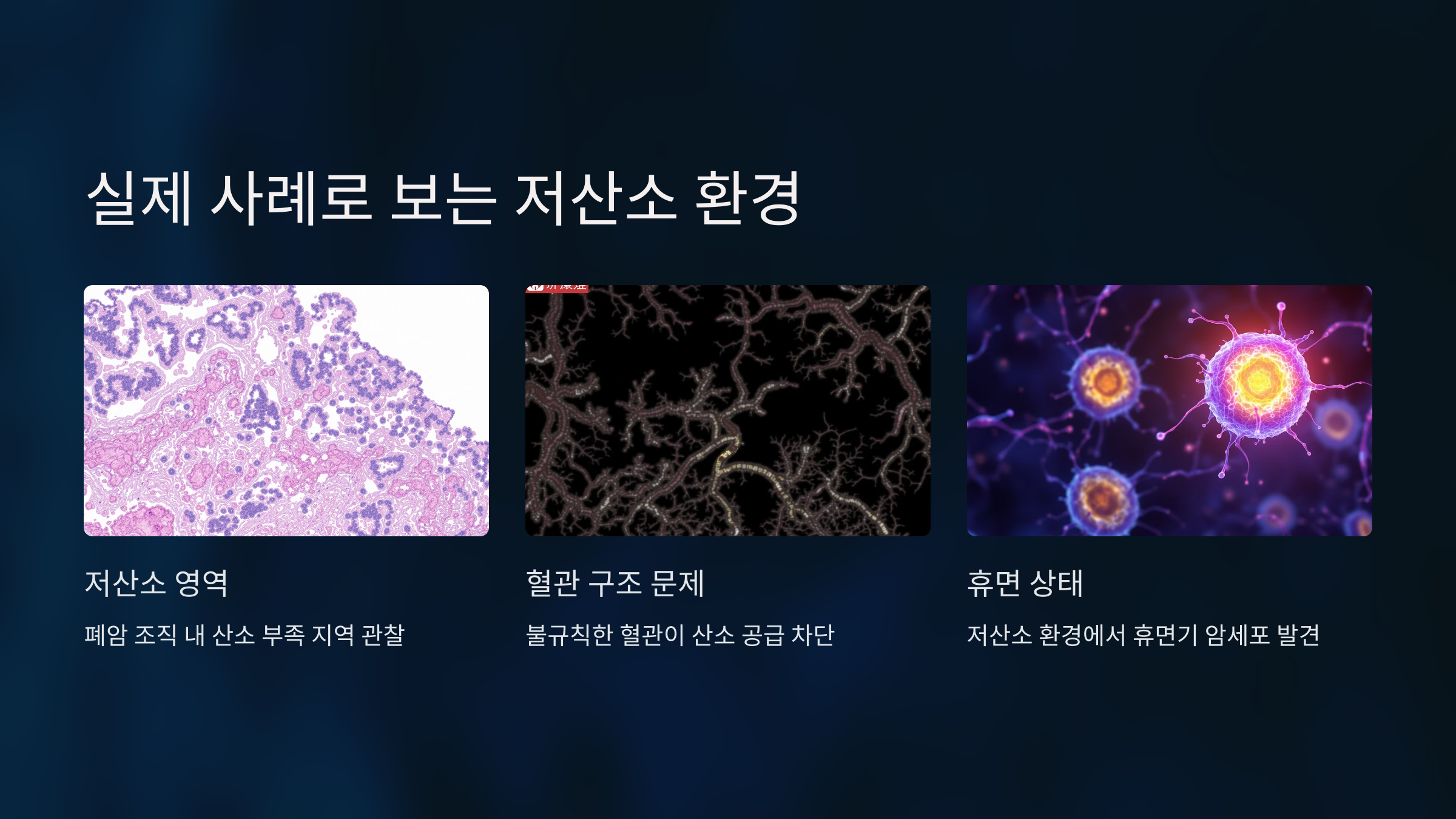 실제 사례로 보는 저산소 환경