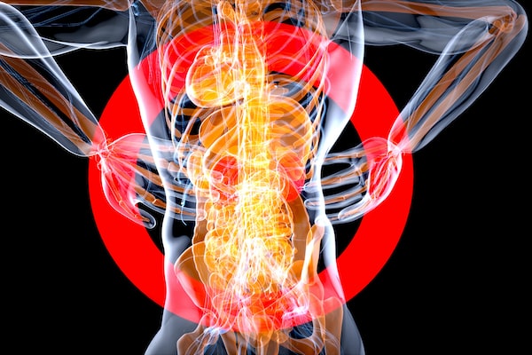 코엔자임 Q10 효능과 심장과의 관계에 대한 분석