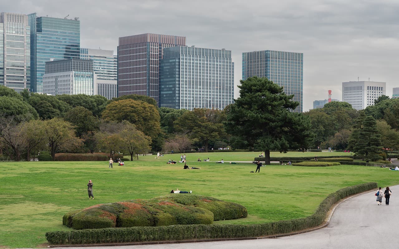 도시 미세정원이란? 소규모 정원의 개념과 필요성