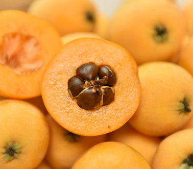 비파열매 맛 효능 부작용 씨앗 수확 시기 담금주 먹는법 보관 방법 총정리3