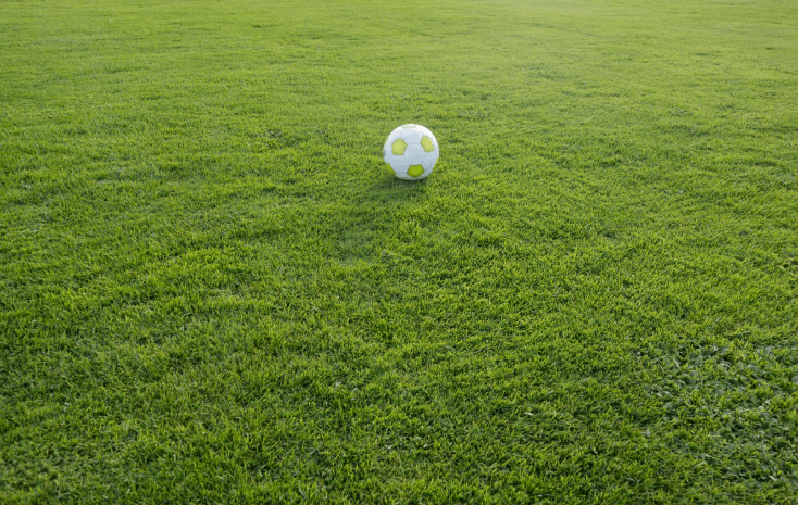 LAFC 손흥민 MLS 데뷔전