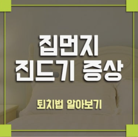 집먼지 진드기 제거방법