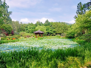 경주 가볼만한 곳 보문정