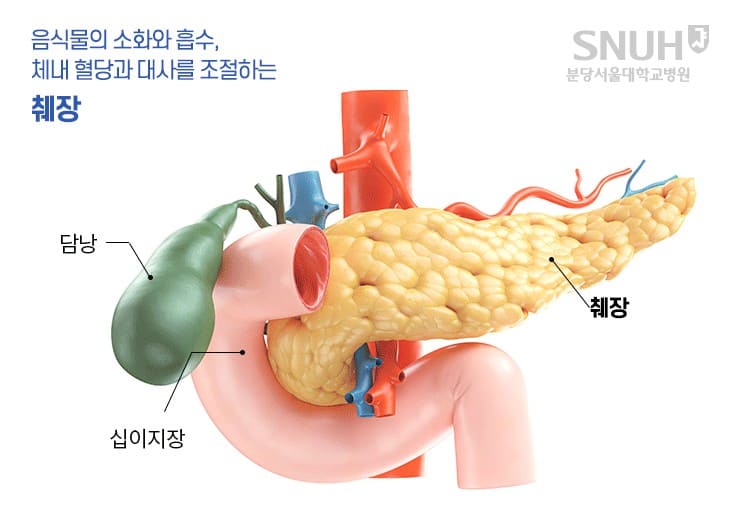 췌장암 초기증상&amp;#44; 췌장암&amp;#44; 췌장암 검사방법&amp;#44; 췌장암 증상&amp;#44; 췌장암 말기4기마지막증상&amp;#44; 췌장암 4기 생존율&amp;#44; 췌장암 등통증 부위&amp;#44; 췌장암에 좋은 음식&amp;#44; 췌장암 3기 생존율&amp;#44; 췌장암 2기 생존율&amp;#44; 췌장암 증상 등통증&amp;#44; 췌장암 생존율