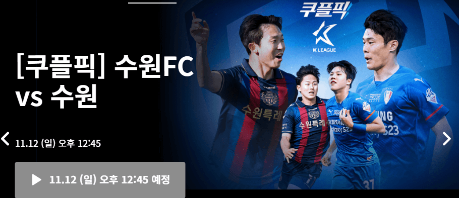 쿠팡플레이