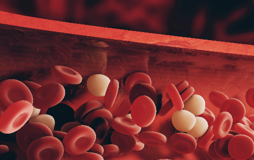 보스웰리아 효능 부작용