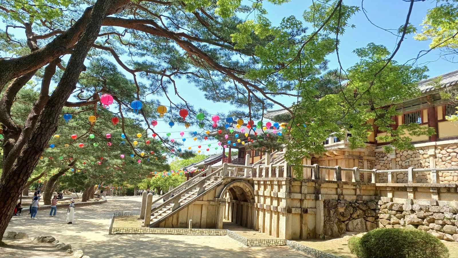 경주 불국사18