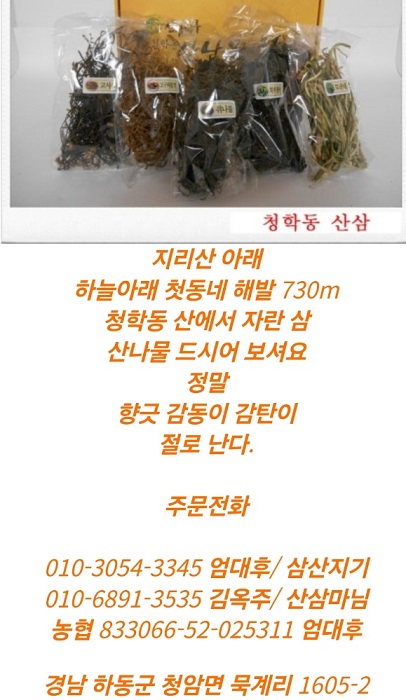 청학동-산삼마루-지리산-장금이