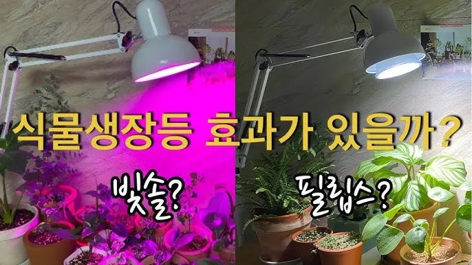 타이머 세팅 자동점등 소등루틴 식물등사용 습관 만들기 편리한 관리_1