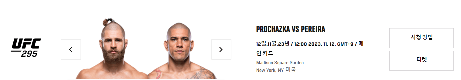 UFC 295