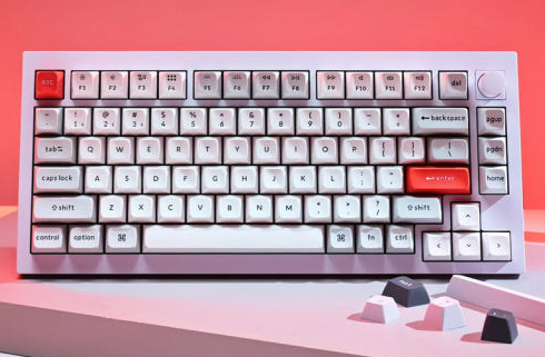 키크론 관련 사진