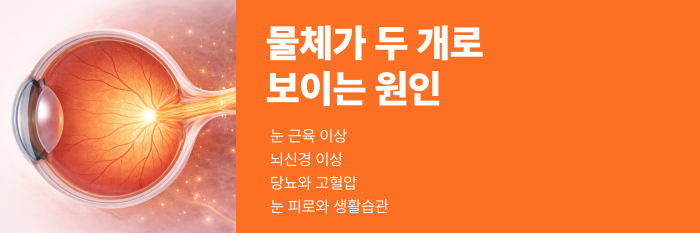 물체가 두개로 보이는 현상