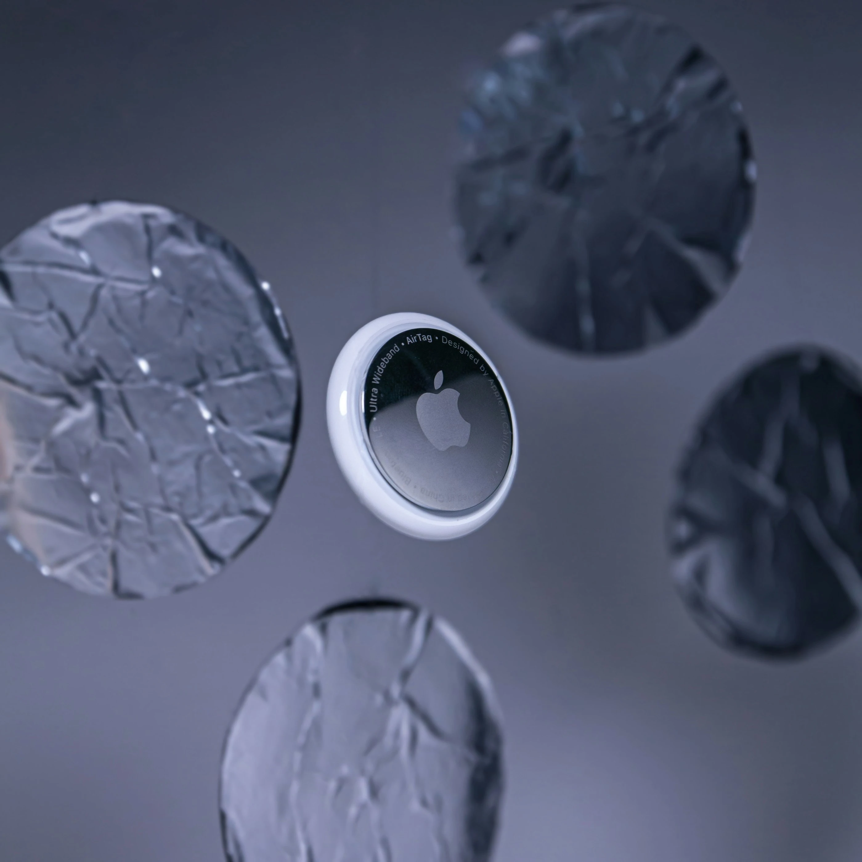 에어태그 강아지