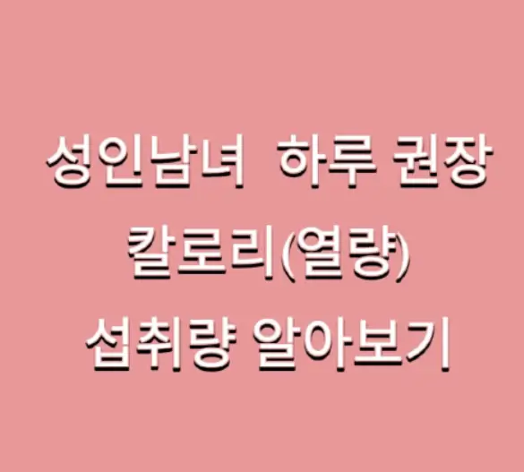 성인 남녀 하루 칼로리 섭취량