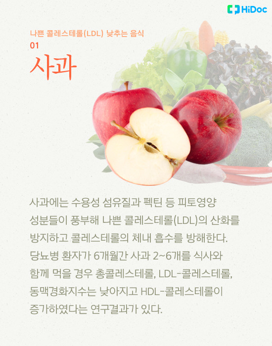 콜레스테롤 낮추는 음식: 건강한 식습관으로 시작하는 변화