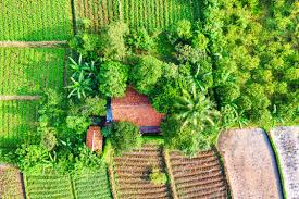 농지은행 농지 임대수탁