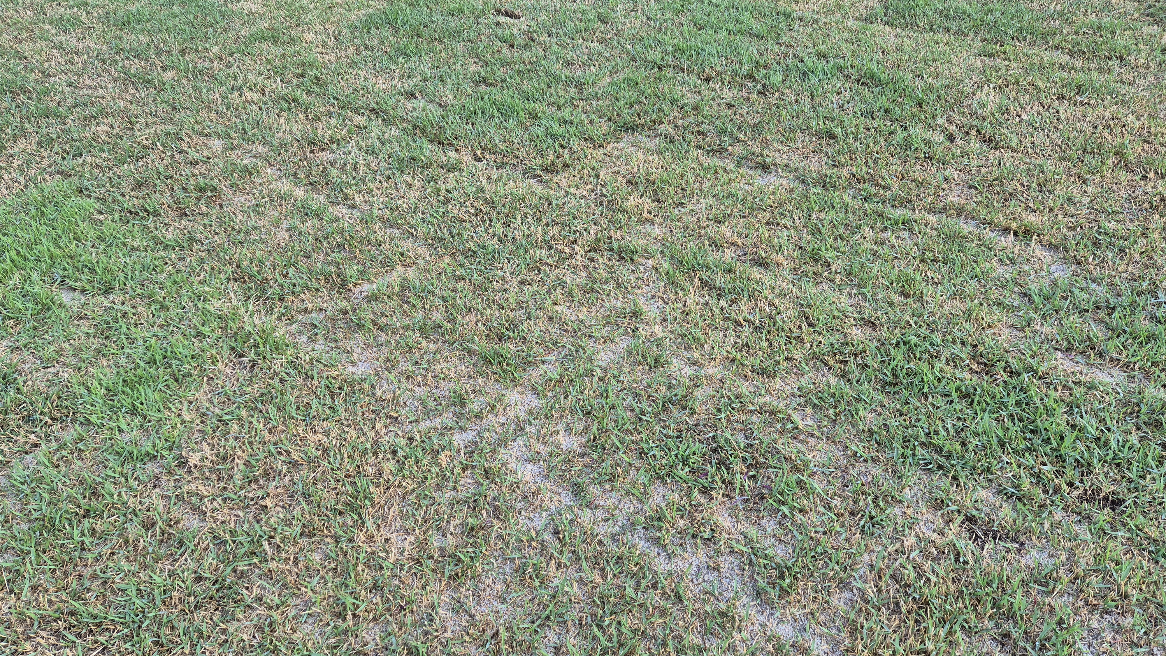 마에스트로cc 라운드 후기