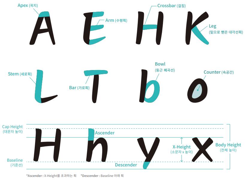 영주선비체 영문 서체 구조