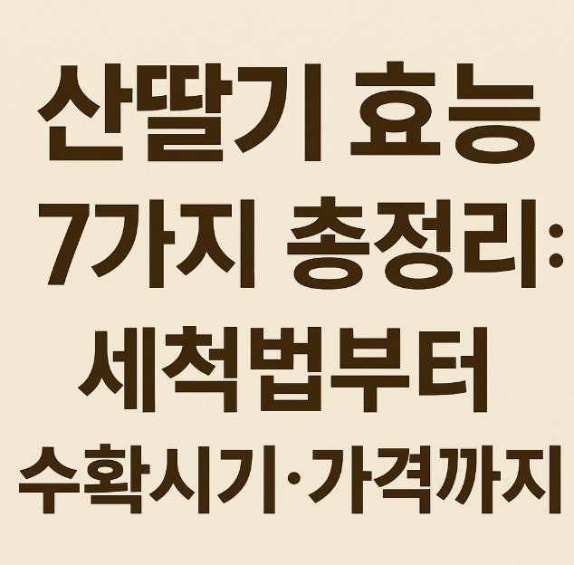 산딸기-효능