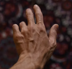 수족냉증 영양제