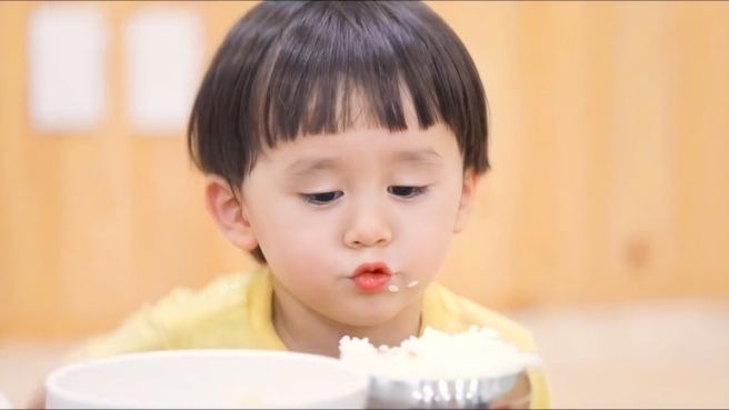 벤틀리 해밍턴 방송 활동