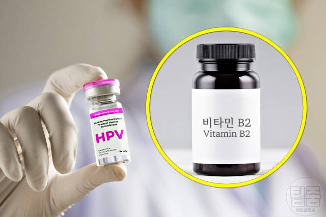 자궁에 좋은 영양제 비타민b2 추천
