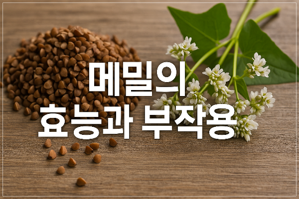 메밀의 효능과 부작용