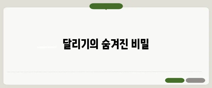 달리기 운동 효과 체지방 연소 핵심운동