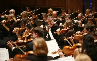 오케스트라를 구성하는 클래식 악기들의 종류와 특징을 정리_10