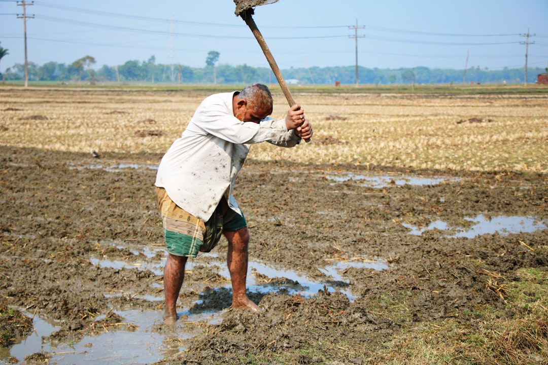 Farmers' allowance