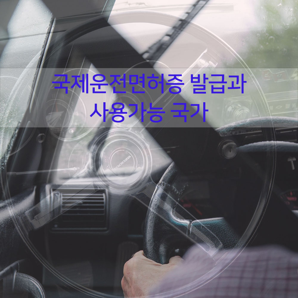 국제운전면허증 발급과 사용가능 국가
