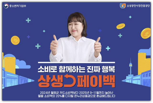 상생페이백 실적 미인정 사용처 정리