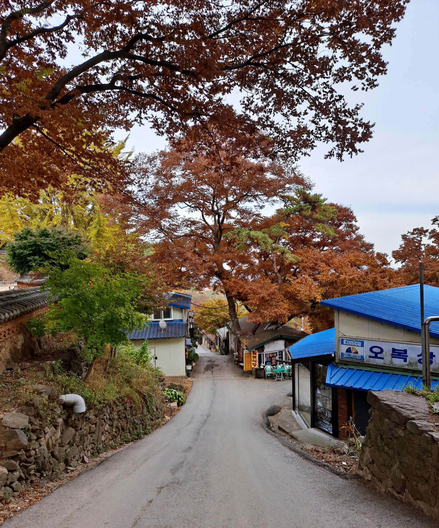 동문주차장 내려가는 길