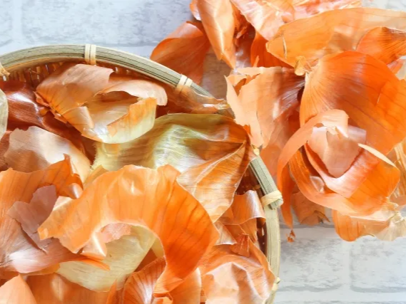 양파껍질차 유래성분