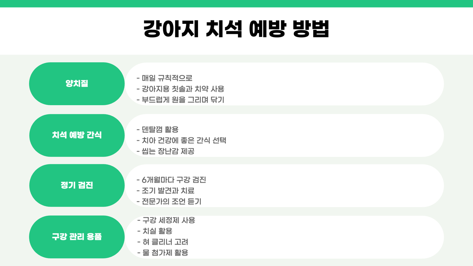 강아지 스케일링 주기 비용