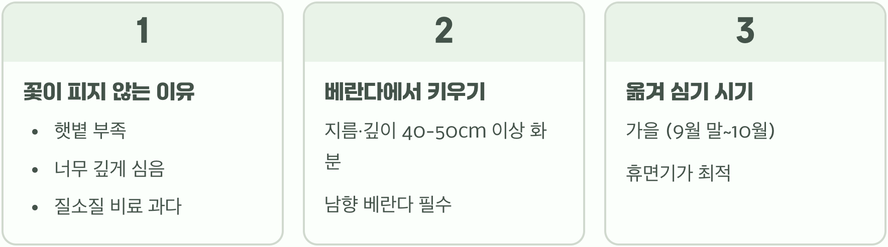 모란꽃 키우기 초보자도 쉽게 따라 할 수 있는 관리법