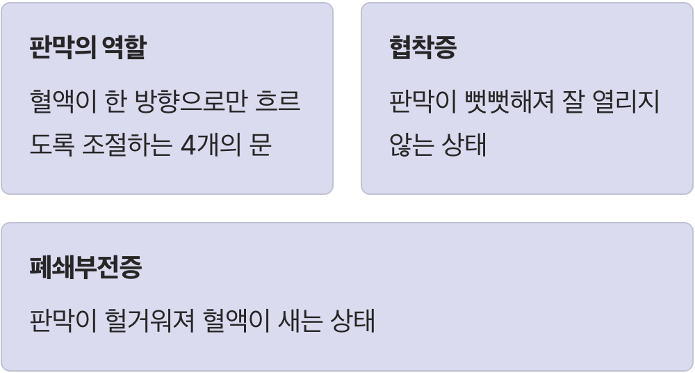 심장 속 4개의 외문&amp;#44; 판막의 역할